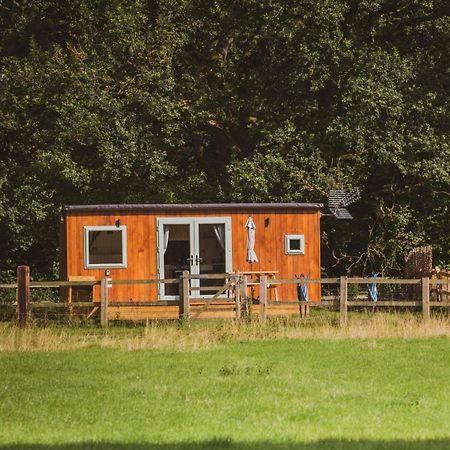 The Hideaway At Hiddenwood Glamping Hotel Corsley Luaran gambar